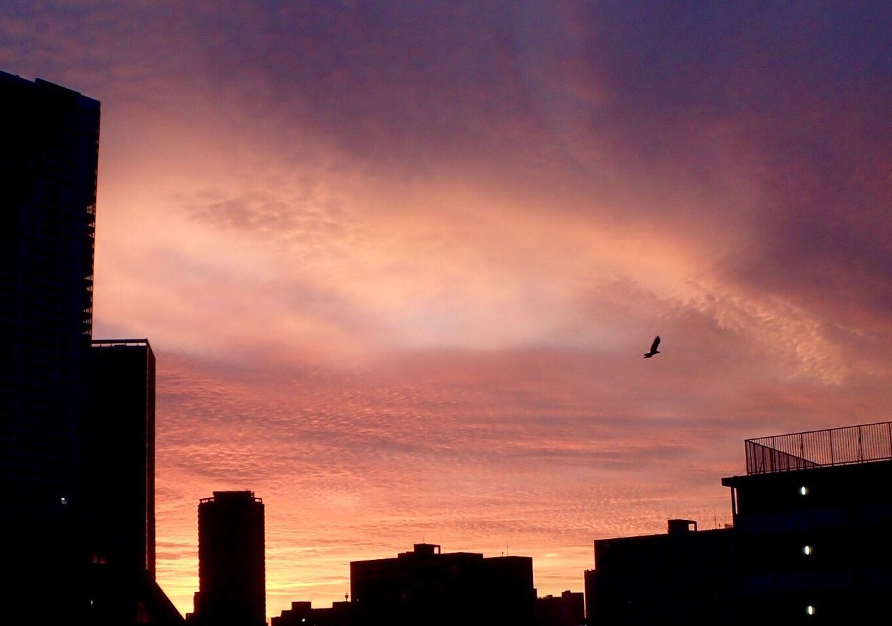 LOW ANGLE VIEW OF CITY AT SUNSET