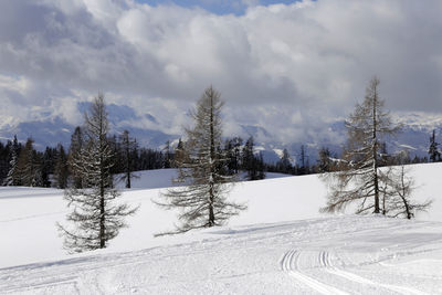 Snow covered land and trees against sky