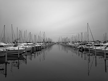 Sailboats moored in harbor