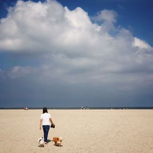 Rear view of teenage girl with dogs walking on sand at beach against cloudy sky during sunny day