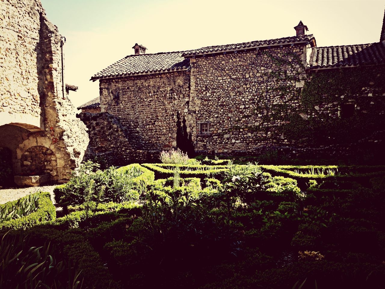 architecture, building exterior, built structure, plant, wall - building feature, low angle view, clear sky, stone wall, day, outdoors, history, no people, building, stone material, sky, old, growth, sunlight, the past, brick wall