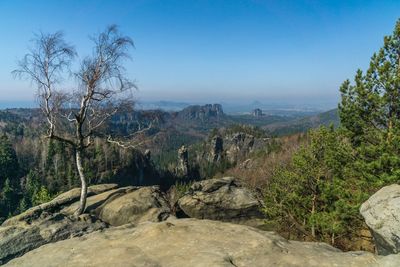 Scenic view of landscape against clear sky