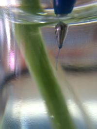 Close-up of water drop on leaf