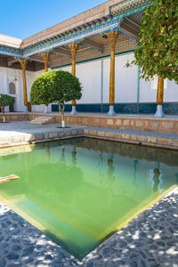 Swimming pool by pond