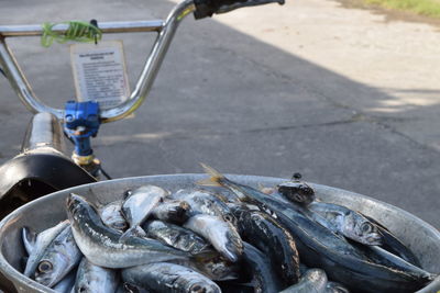 High angle view of fishes in container on bicycle for sale