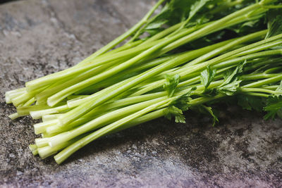 Fresh celery- ingredient for cooking