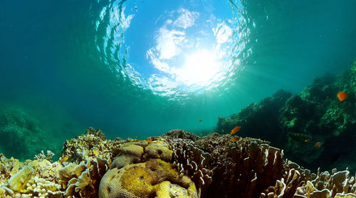 underwater