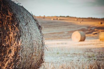 Close-up of hay bales on field