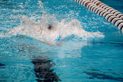 Male swimmer swimming in pool