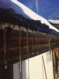 Low angle view of wood against sky