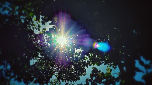 Low angle view of illuminated trees against sky at night