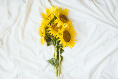 Candid authentic yellow sunflowers bouquet on fabric white background. background with bouquet 