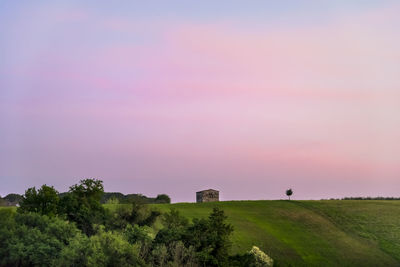 Scenic view of field against sky during sunset