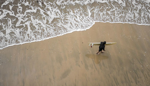 High angle view of man on beach