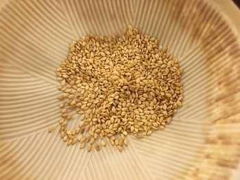 Close-up of food on table