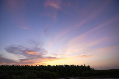 Sunset over the reeds and clouds, bright day, clouds, orange and blue