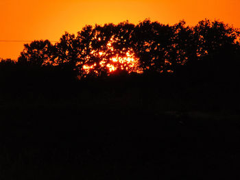 Silhouette tree against orange sky