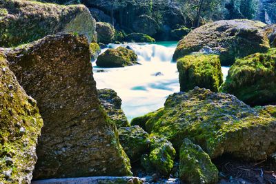 Moss growing on rocks