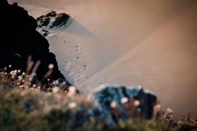 High angle view of rocks on beach