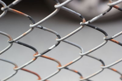 Close-up of chainlink fence