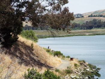 Scenic view of river amidst trees against sky