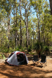 View of tent in forest