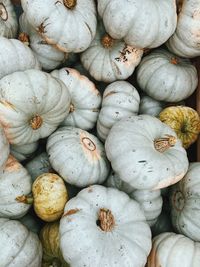 Full frame shot of pumpkins