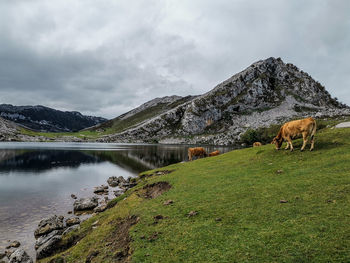 Scenic view of lake against sky