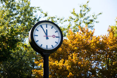 Low angle view of clock on tree