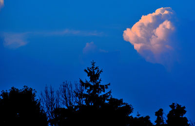 Low angle view of silhouette trees against blue sky