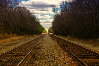 View of railroad track along trees