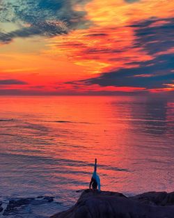 Silhouette person in sea against sky during sunset