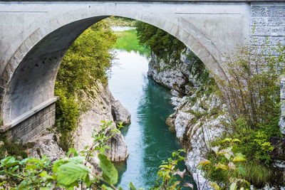 Arch bridge over river amidst trees