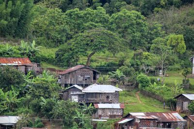 View of house and trees