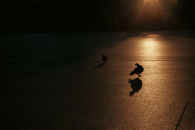 darkness