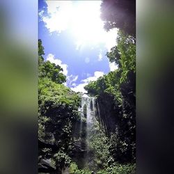 Scenic view of waterfall in forest against sky