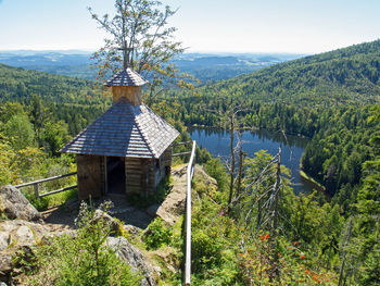 Scenic view of lake by trees in forest