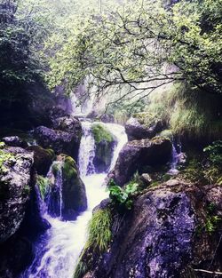 Close-up of water flowing over trees