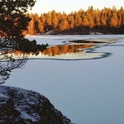 Scenic view of snow covered landscape