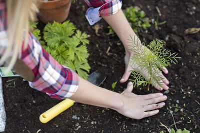 Woman planting plant, stockholm, sweden