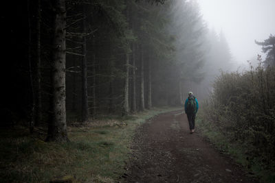 Rear view of man walking on road in forest