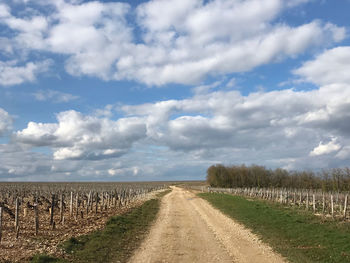 Dirt road amidst agricultural field against sky