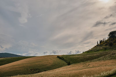 Tuscany field