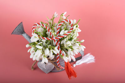 Close-up of pink flowering plant against red background