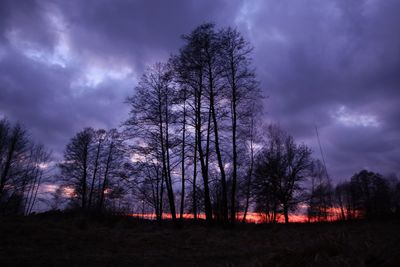 Low angle view of silhouette trees against stormy clouds at dusk
