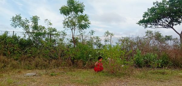Woman sitting on field by trees against sky