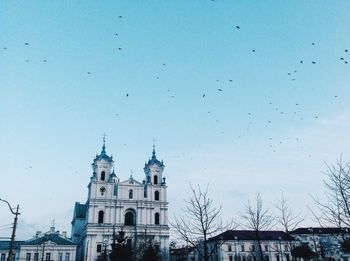 Birds flying over st francis xavier cathedral