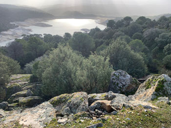 Scenic view of rocks and trees against sky