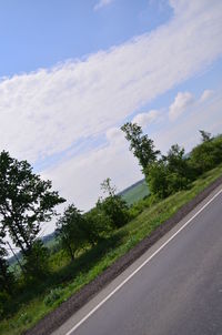 Road by trees against sky