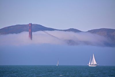 Sailboat sailing in sea against clear sky